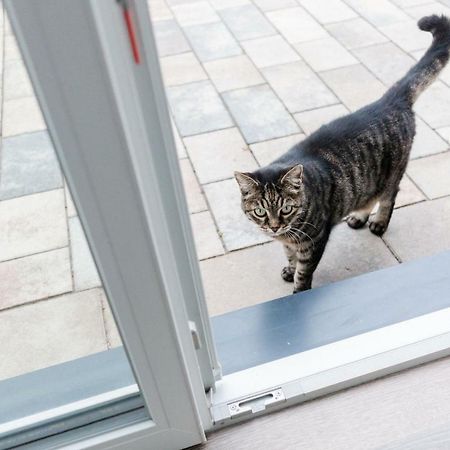 Brehm Living Lägenhet Kandel Exteriör bild